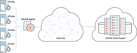 nProbe_diagram-500w.png