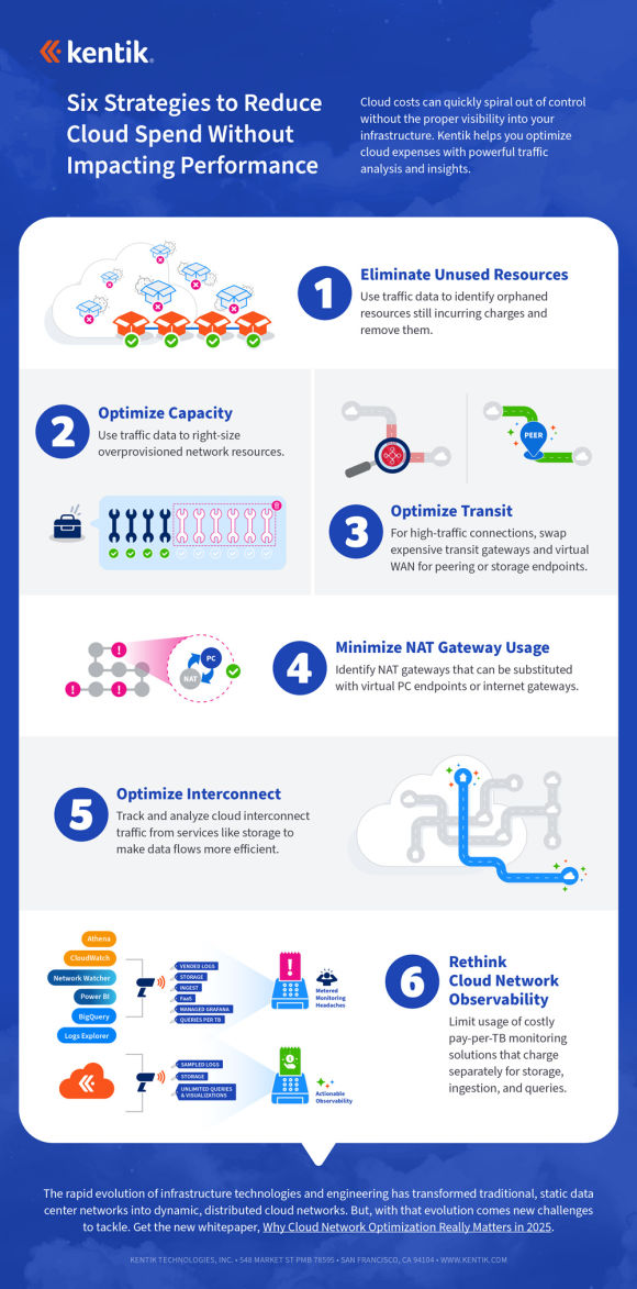 Cloud cost optimization infographic