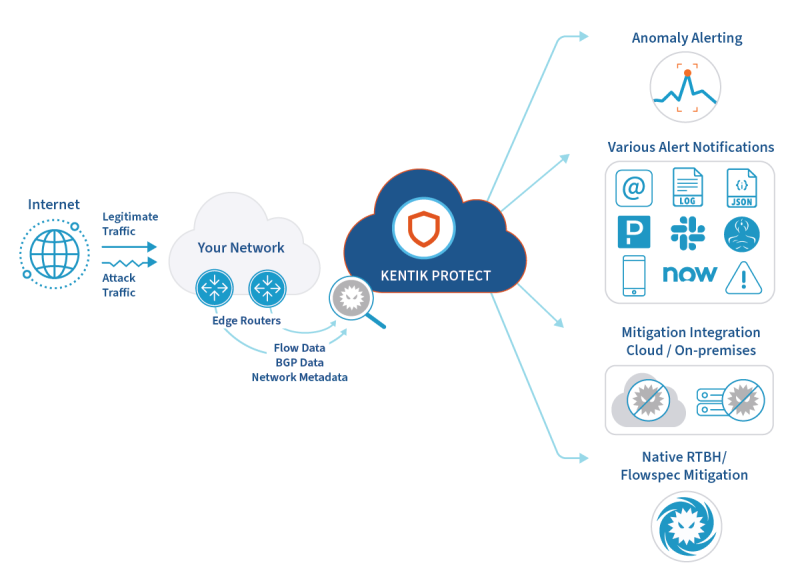 DDoS Protection and Mitigation