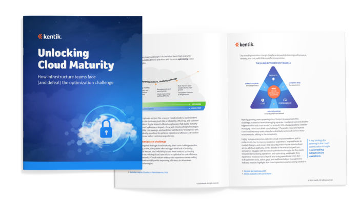 Cloud maturity whitepaper