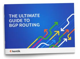 Ultimate Guide to BGP Routing cover