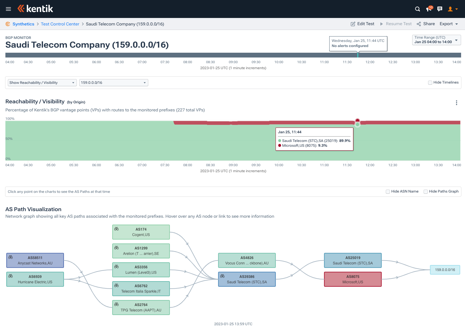 BGP visualization - Saudi Arabia