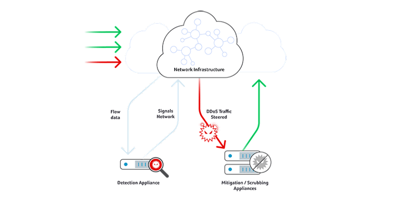 DDoS Detection and Defense