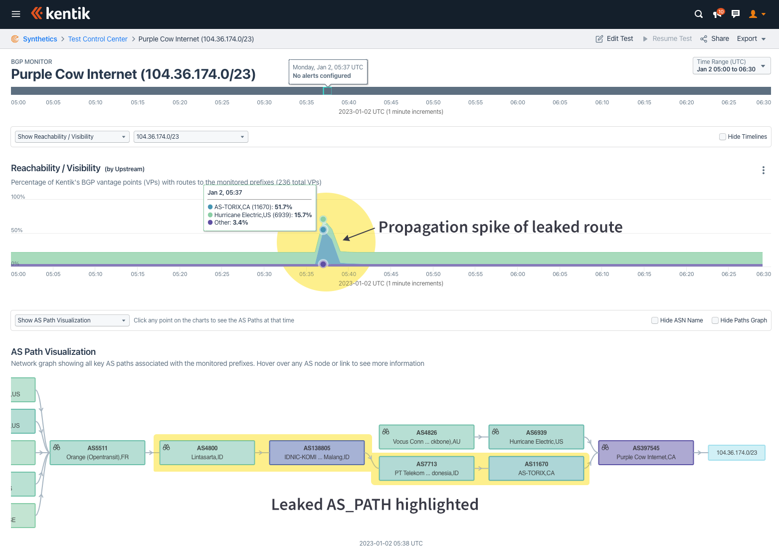 Leak progression in BGP visualization