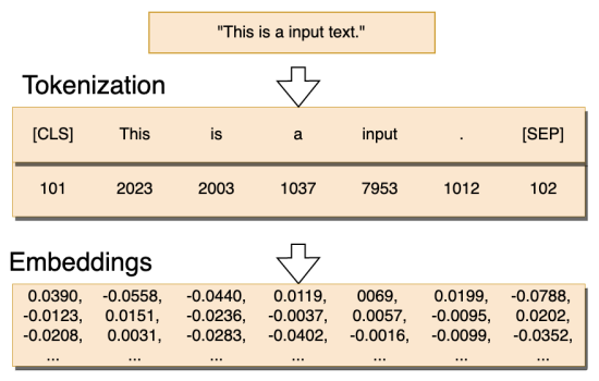 Example showing tokenization and embeddings