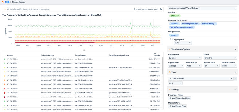 Metrics explorer view of cloud costs