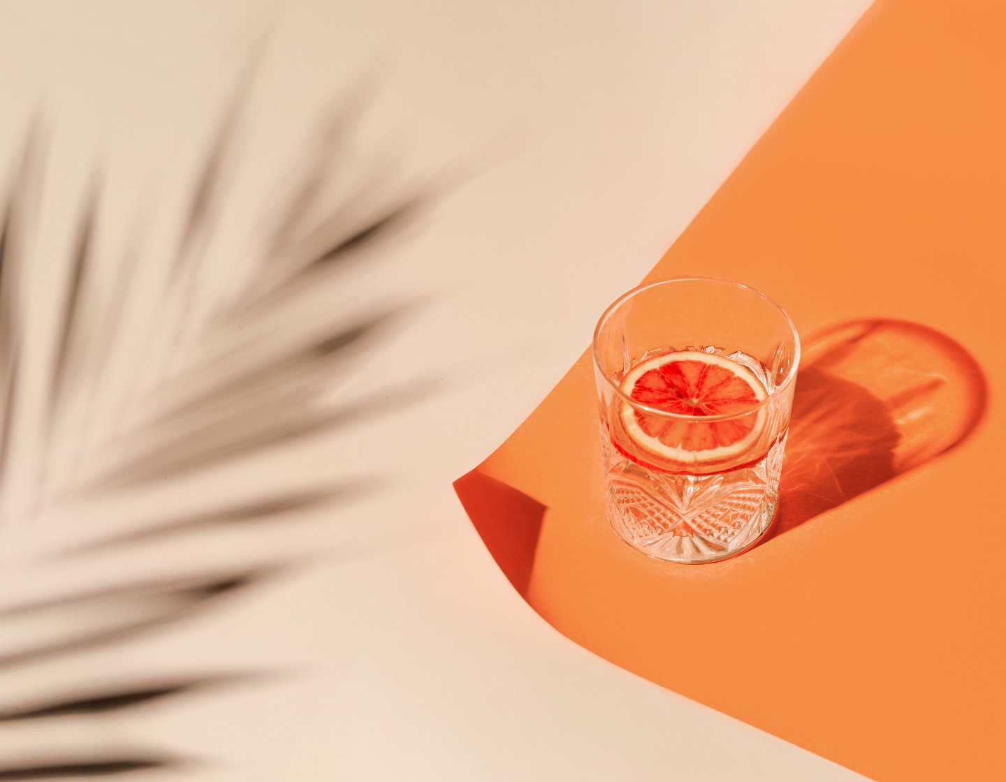 COCTEL CON GIN