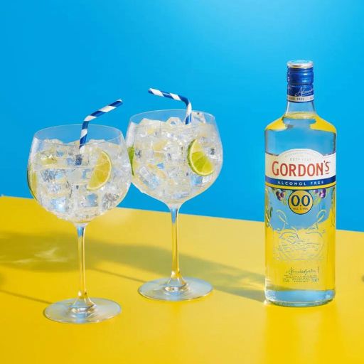 Boozeless Gin and Tonic
