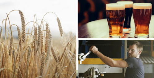 beer 101: the ultimate guide to beer