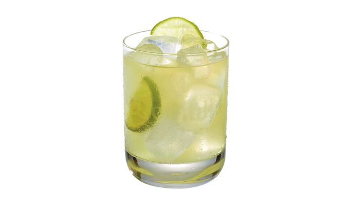 Don Julio Tommy's Margarita