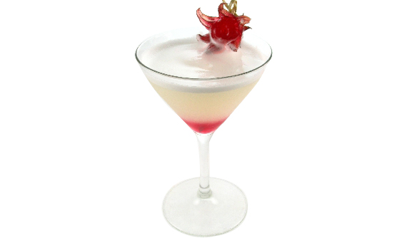 Jamaica Sour