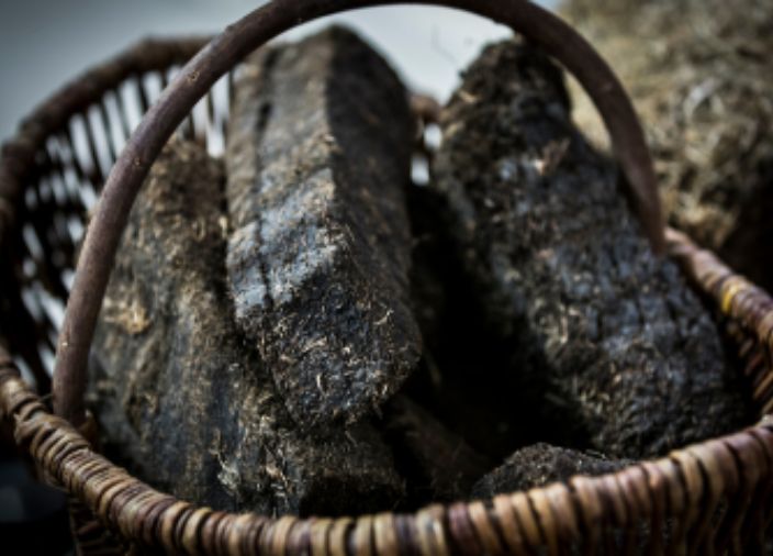 Cesta de pico