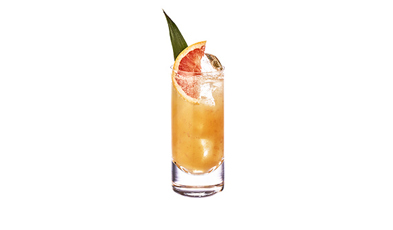 TROPICAL 10