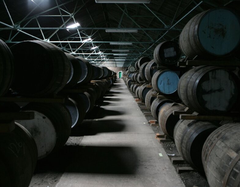 Fileiras de barris de madeira armazenados
