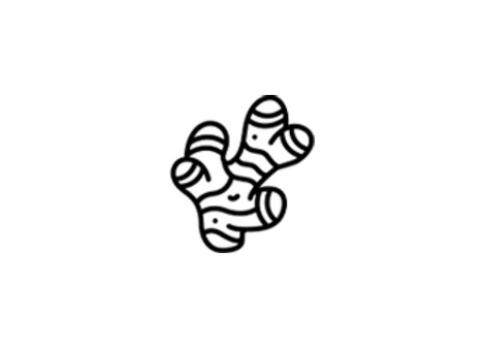 orris root graphic