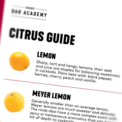 Thumbnail of the downloadable resource