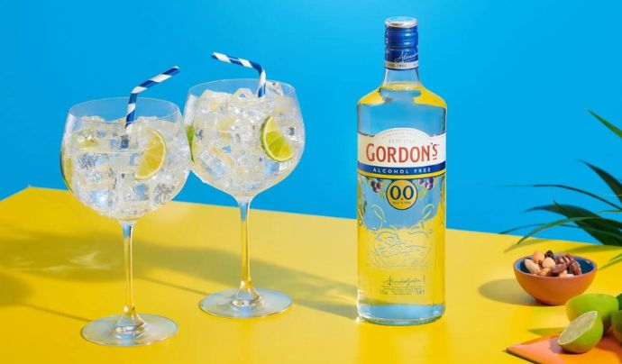 Boozeless Gin and Tonic