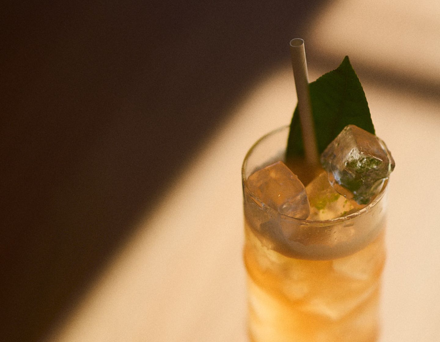 Seedlip highball cocktail with ice and garnsih.