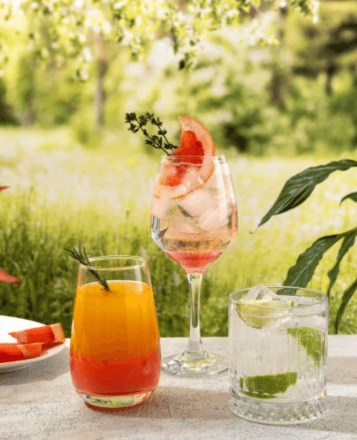 Explora todas las recetas