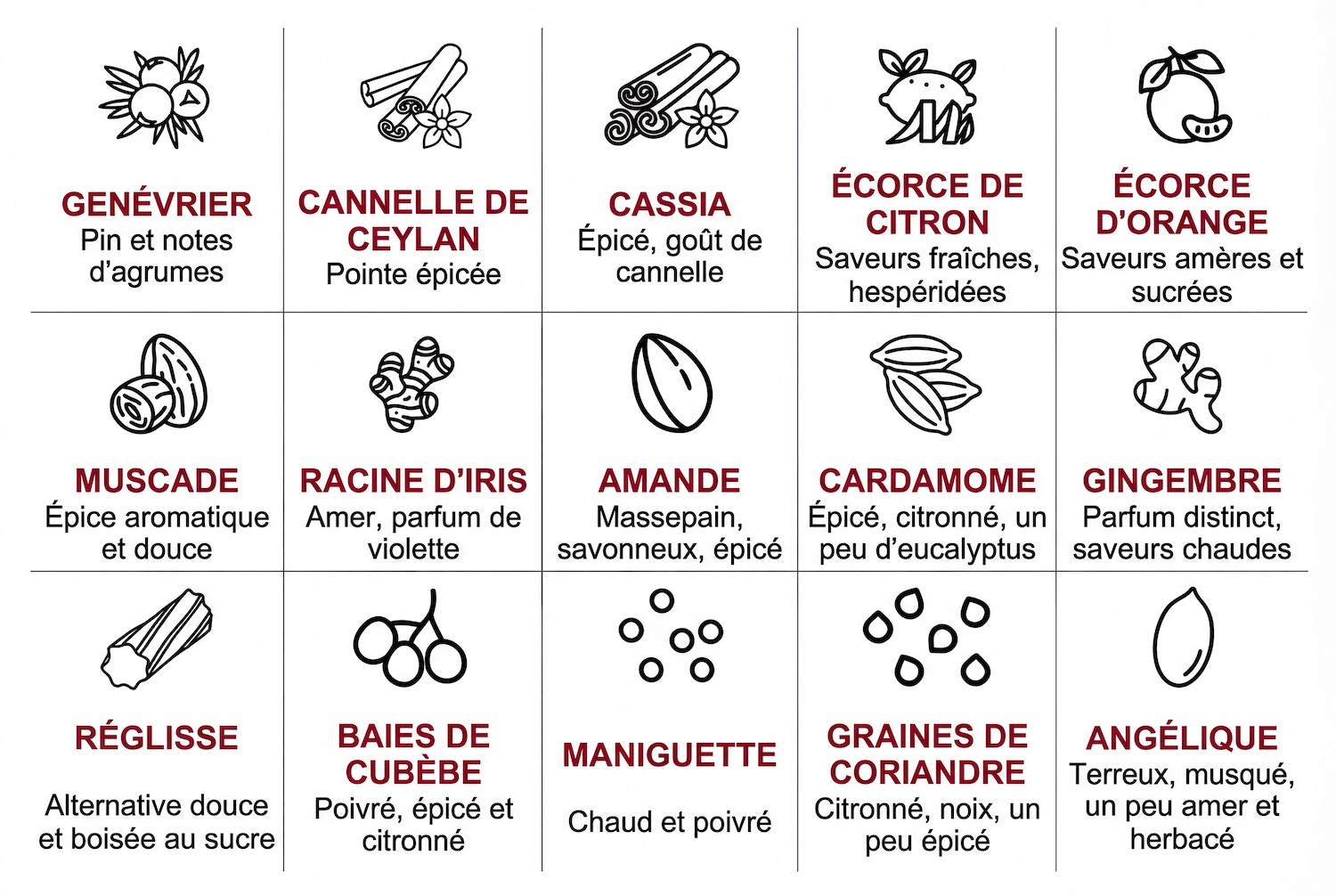 Tableau présentant les ingrédients botaniques courants, et leurs arômes, utilisés dans la production de gin.