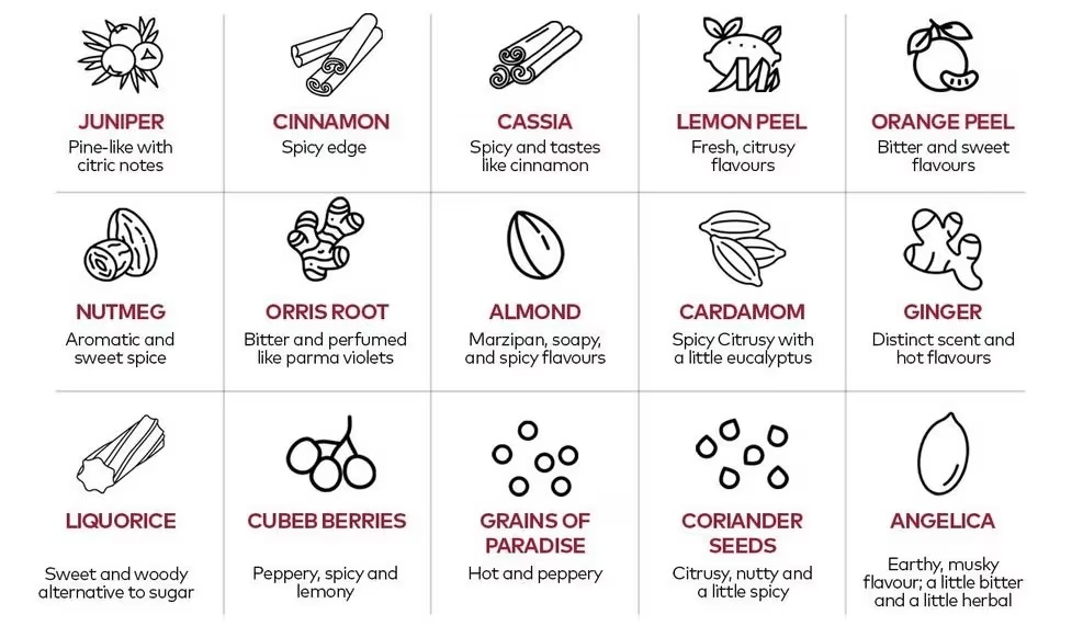 Um gráfico destacando ingredientes botânicos comuns e seus sabores usados na produção de gin.