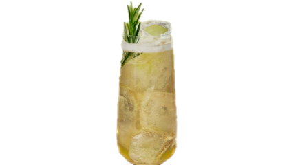 Seedlip Garden Ginger Highball