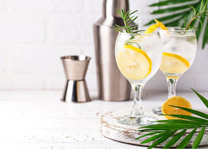 Two gin glasses garnsihed with lemon slices.