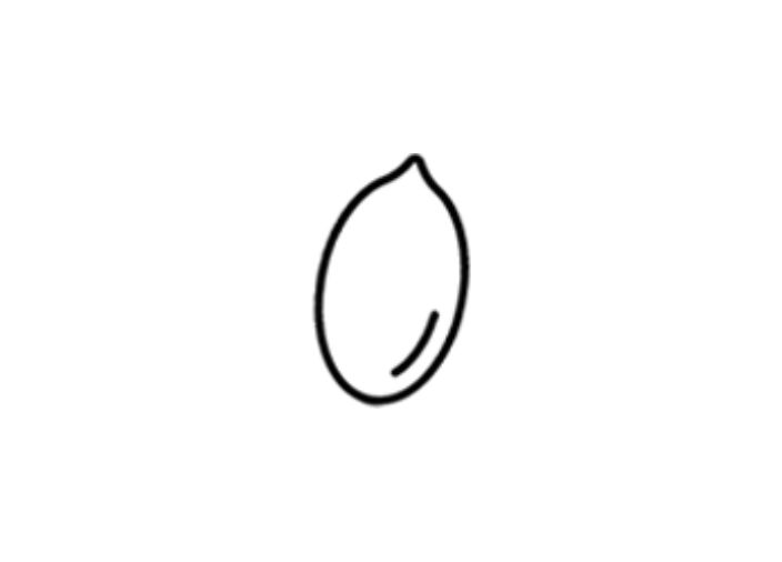 juniper graphic
