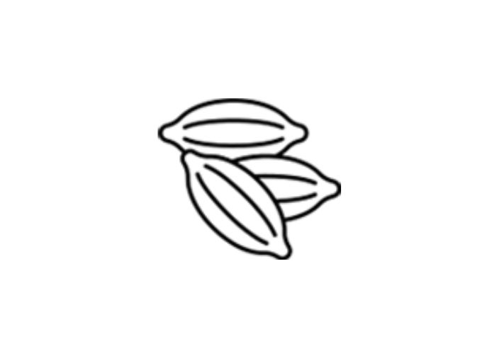 cardamom graphic