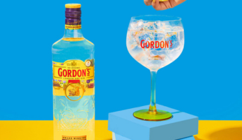 Garrafa Gordon's