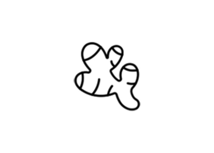 ginger graphic