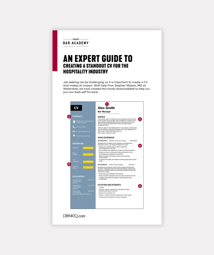An Expert Guide to Creating a Standout CV Preview
