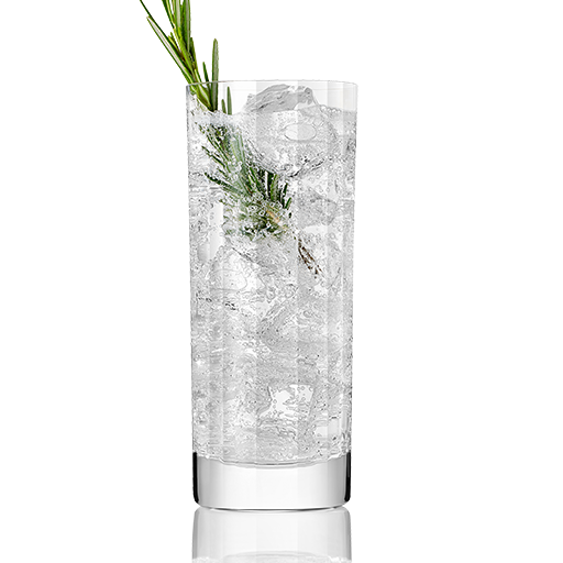 Cocktail in highball glass with pine garnish 