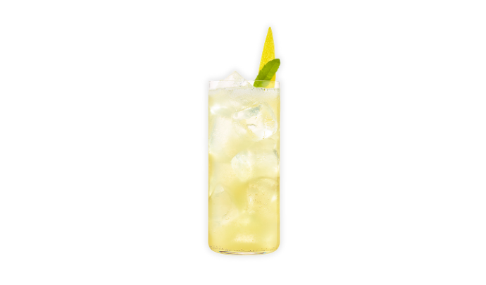 Whisky in highball glass filled with ice and soda