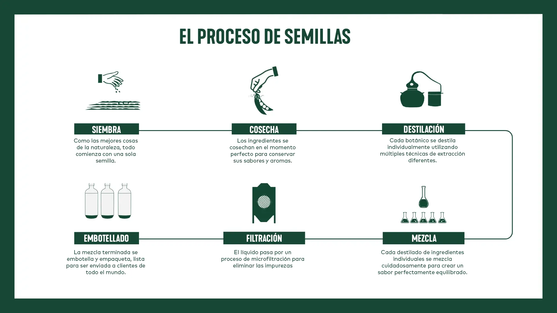 Proceso de  Semillas