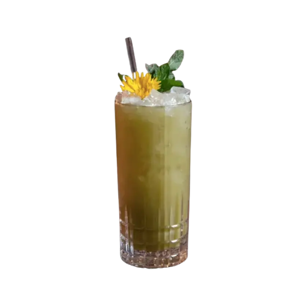 bebida refrescante celebration