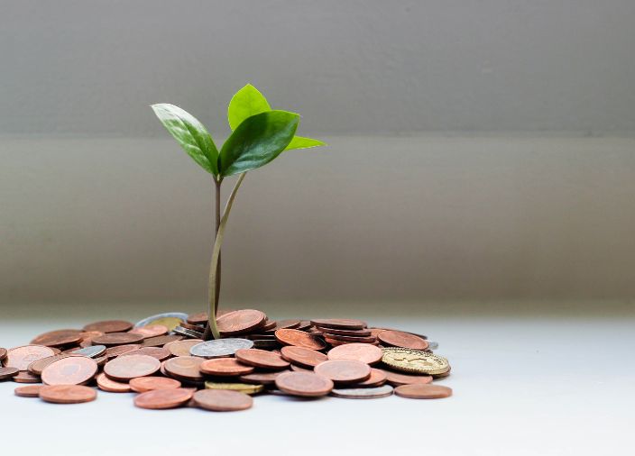 Um pequeno broto verde crescendo de uma pilha de moedas de um centavo em um fundo branco.