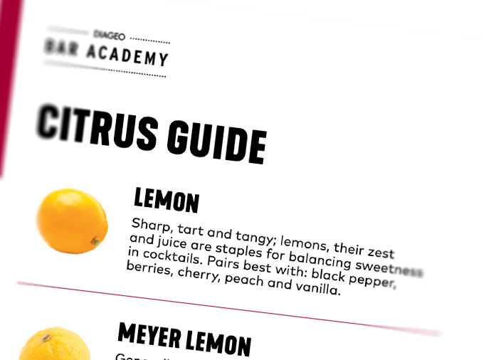 Thumbnail of the downloadable resource