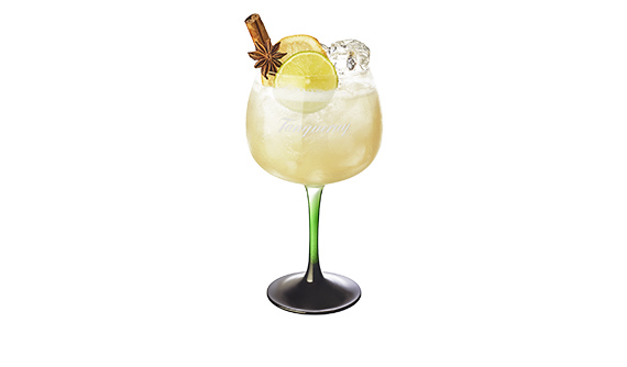 Spiced Apple G & T