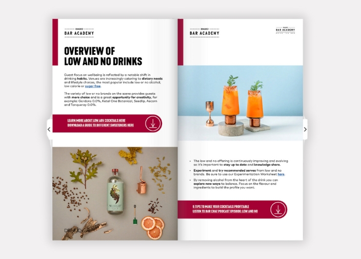 Expert Guide On Low and No Cocktails eBook Preview