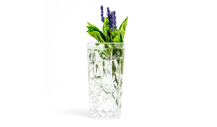 Spring Collins