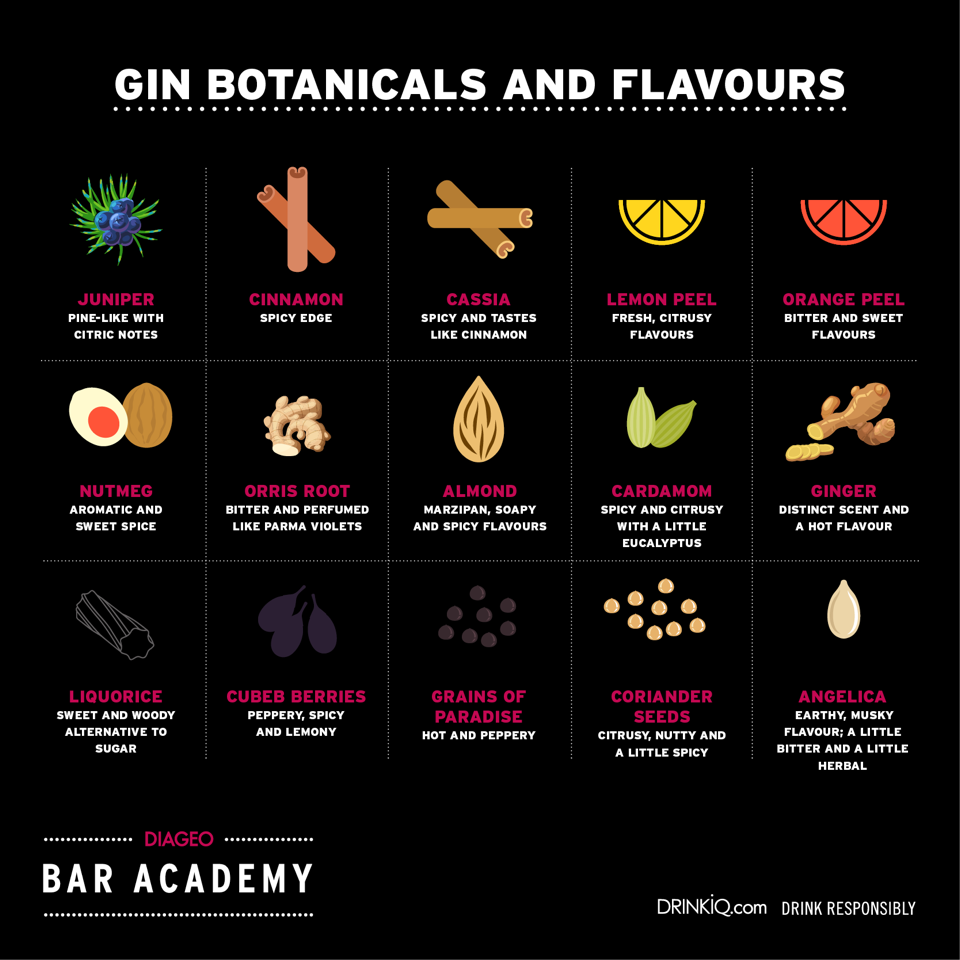 Gin infographic showcasing botanical and flavors of Gin  