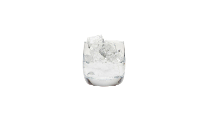Red Berry on the Rocks