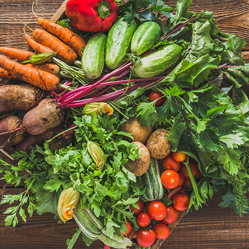 Una colección de verduras, zanahorias, remolachas, pepinos, tomates, calabazas y más, reunidas en círculo encima de una mesa de madera.