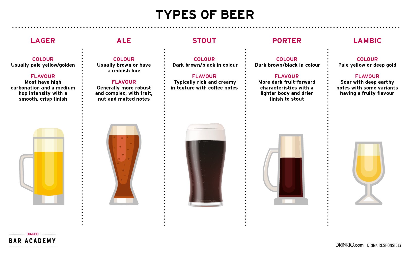 Types of beer infographic 