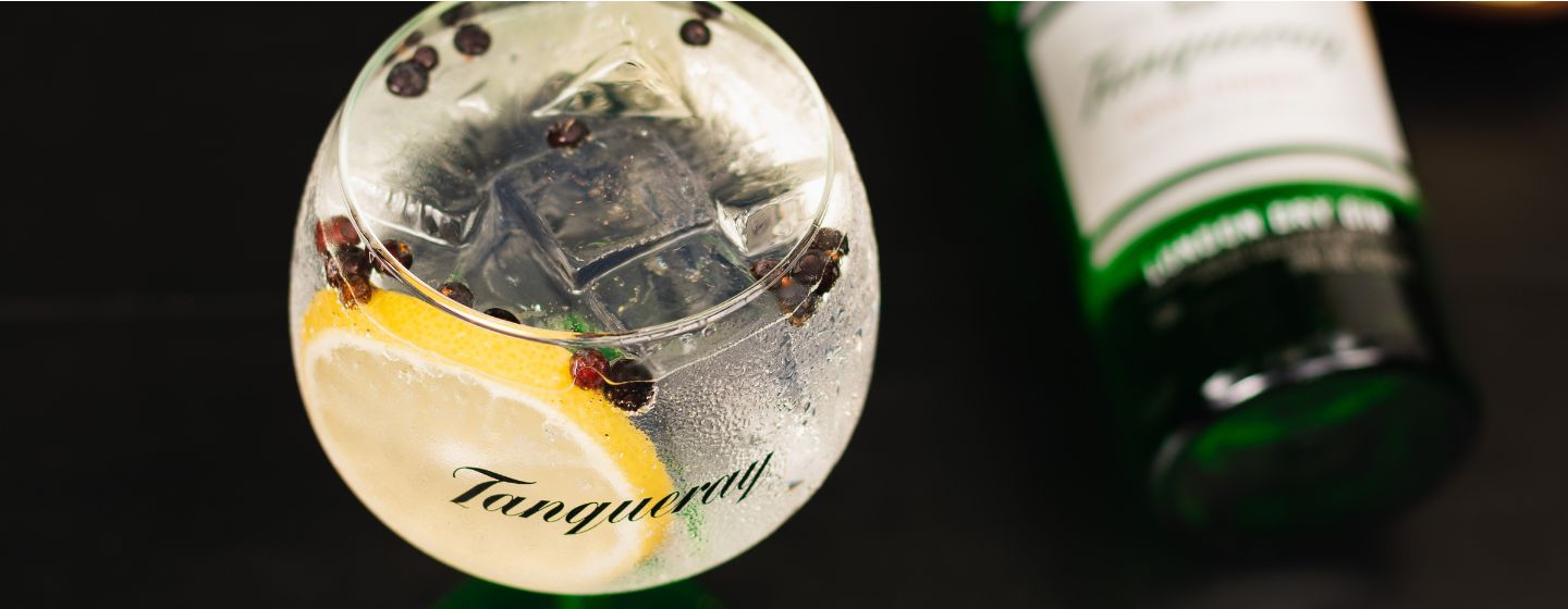 Imagem de um Taqueray Gin Tonic