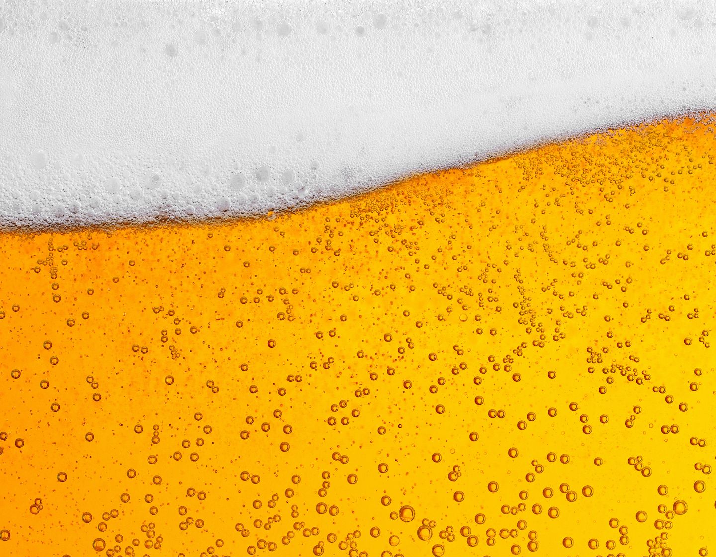 Selection of beers in a row