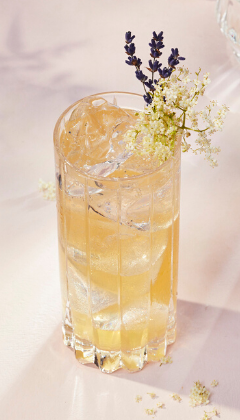 A cocktail with lemon garnish 