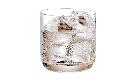 Red Berry on the Rocks