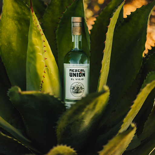 Mezcal Unión El Viejo